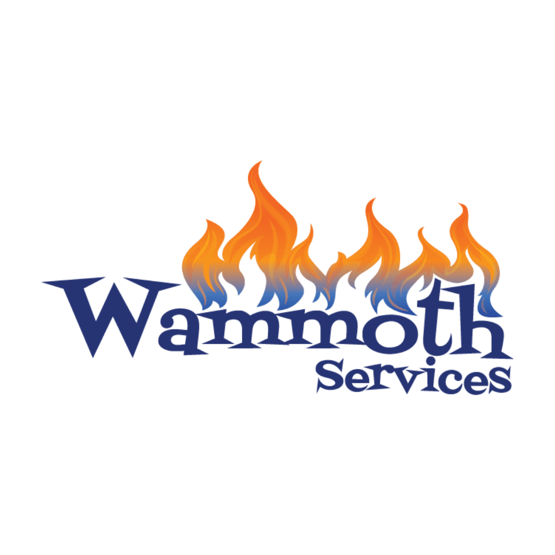 Wammoth Services Your Gas Fireplace Experts