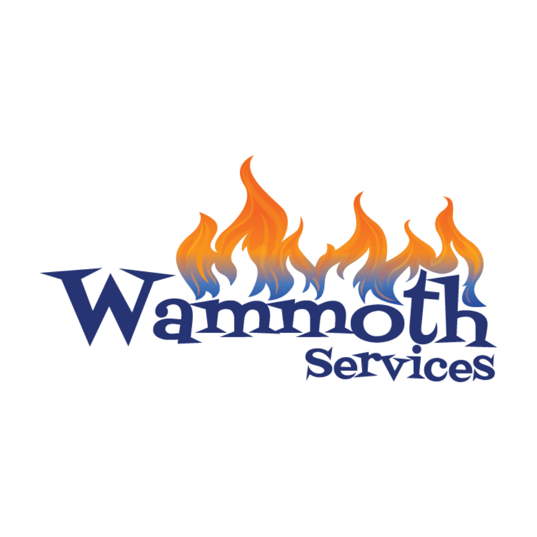 Wammoth Services Gas Fireplace Experts.
